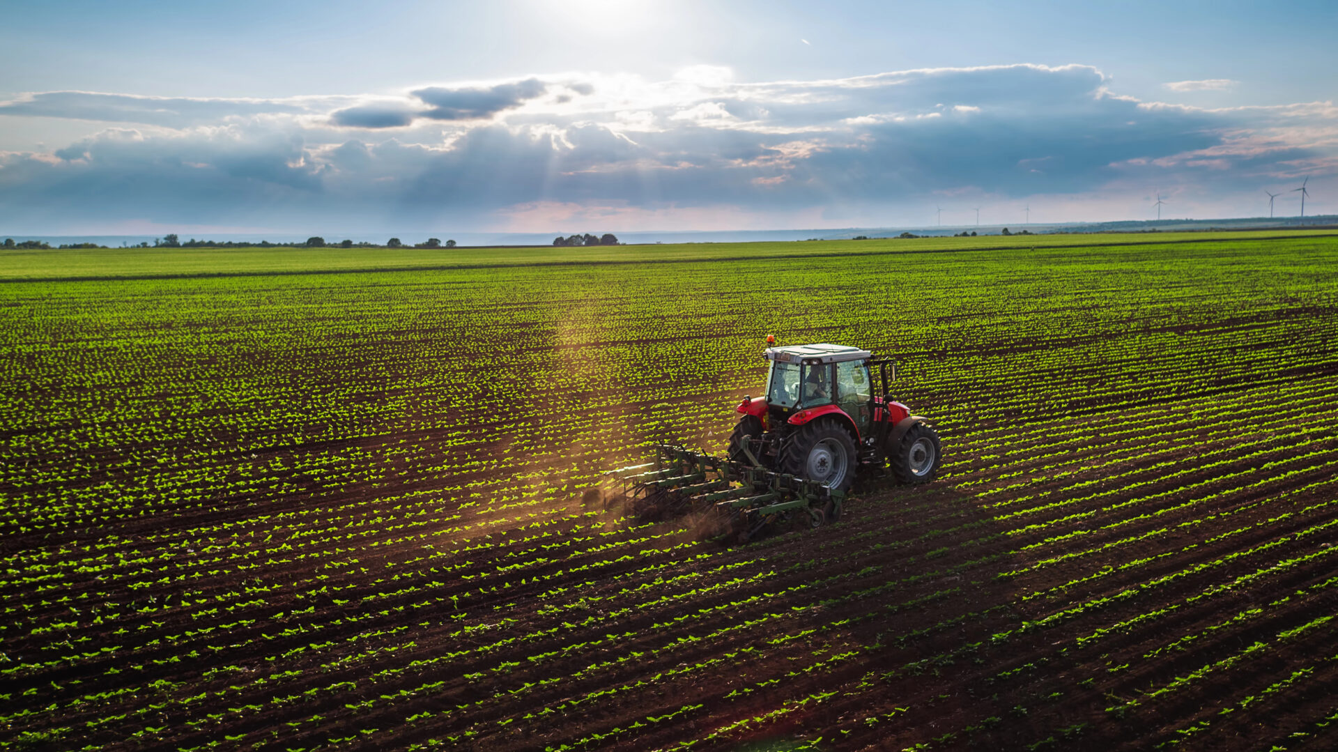 Dems Crippled Farmers For Years – Trump is Fighting Back